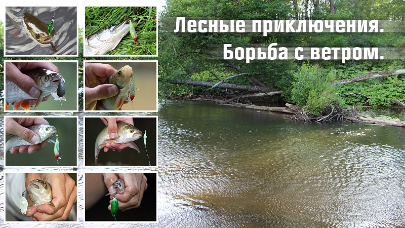 018b03c2e4196efe69d1fd382cd3c1a4.jpg